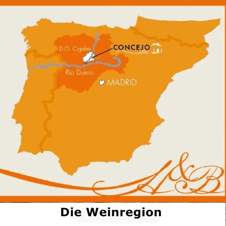 Carreduenas Crianza DOC Bio Rotwein