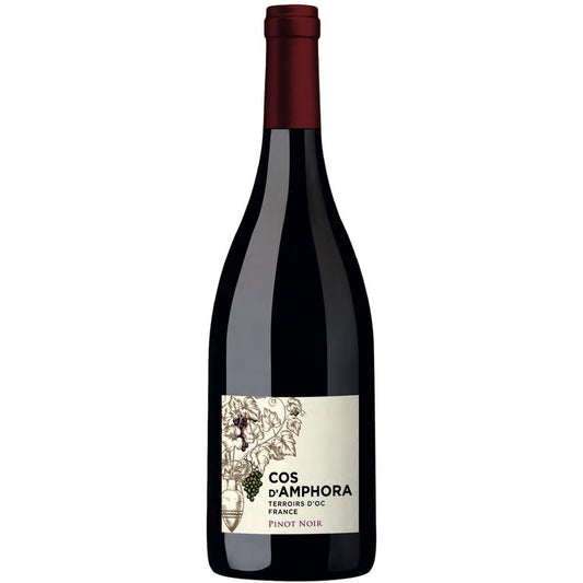 Cos d'Amphore Pinot Noir Rotwein IGP d'OC